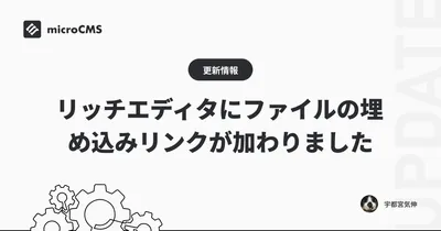 リッチエディタにファイルの埋め込みリンクが加わりました